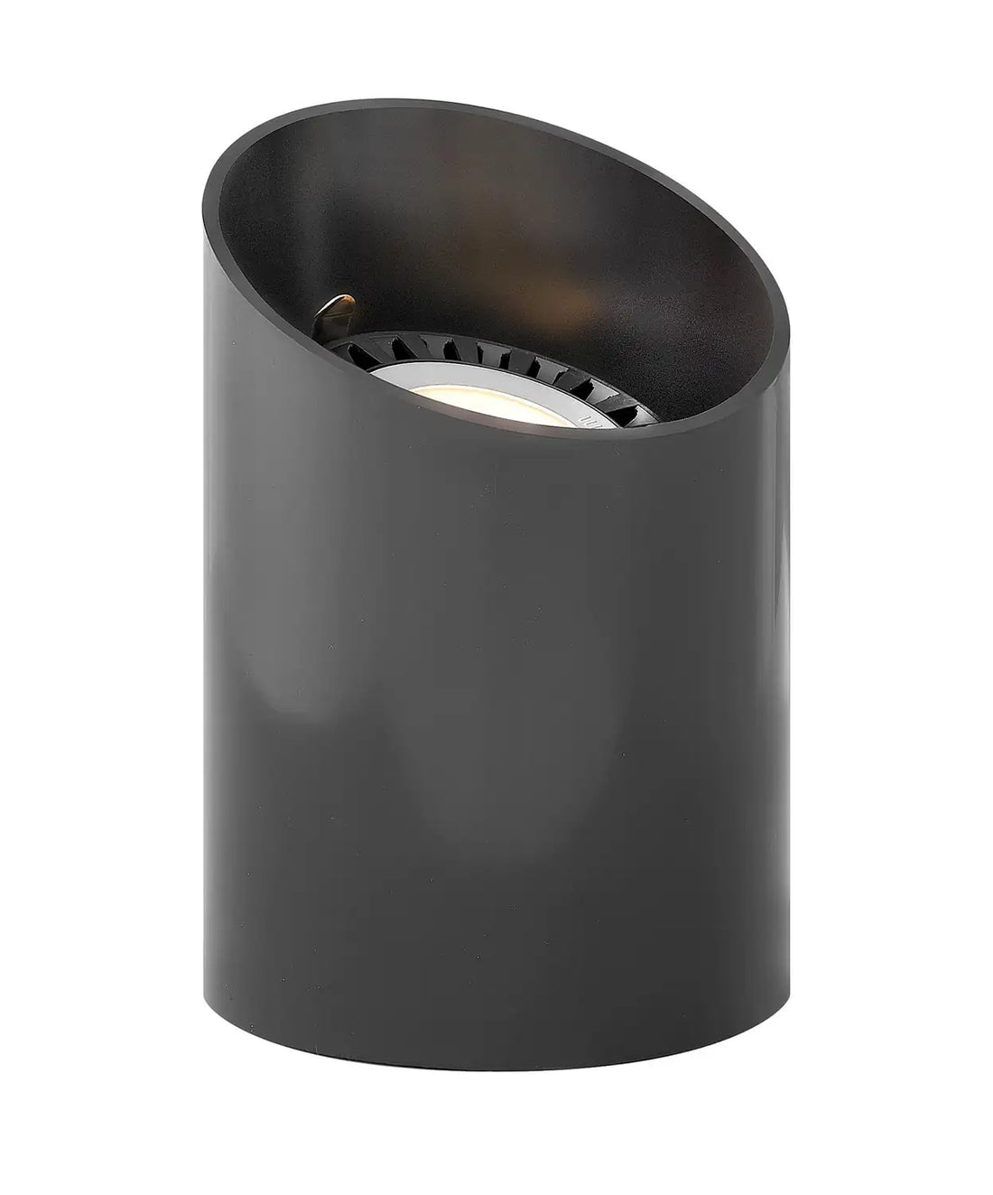HINKLEY PAR36 LANDSCAPE WELL LIGHT - Decorative Accents