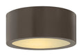HINKLEY, LUNA FLUSH MOUNT, OUTDOOR CEILING LIGHTS