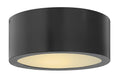 HINKLEY, LUNA FLUSH MOUNT, OUTDOOR CEILING LIGHTS