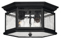 HINKLEY, EDGEWATER OUTDOOR CEILING LIGHT, OUTDOOR CEILING LIGHTS