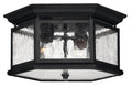HINKLEY EDGEWATER OUTDOOR CEILING LIGHT - Ceiling