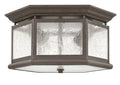HINKLEY EDGEWATER OUTDOOR CEILING LIGHT - Ceiling