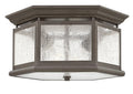 HINKLEY, EDGEWATER OUTDOOR CEILING LIGHT, OUTDOOR CEILING LIGHTS