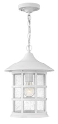 HINKLEY FREEPORT COASTAL ELEMENTS OUTDOOR PENDANT - Ceiling