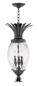 HINKLEY, PLANTATION OUTDOOR PENDANT, OUTDOOR CEILING LIGHTS