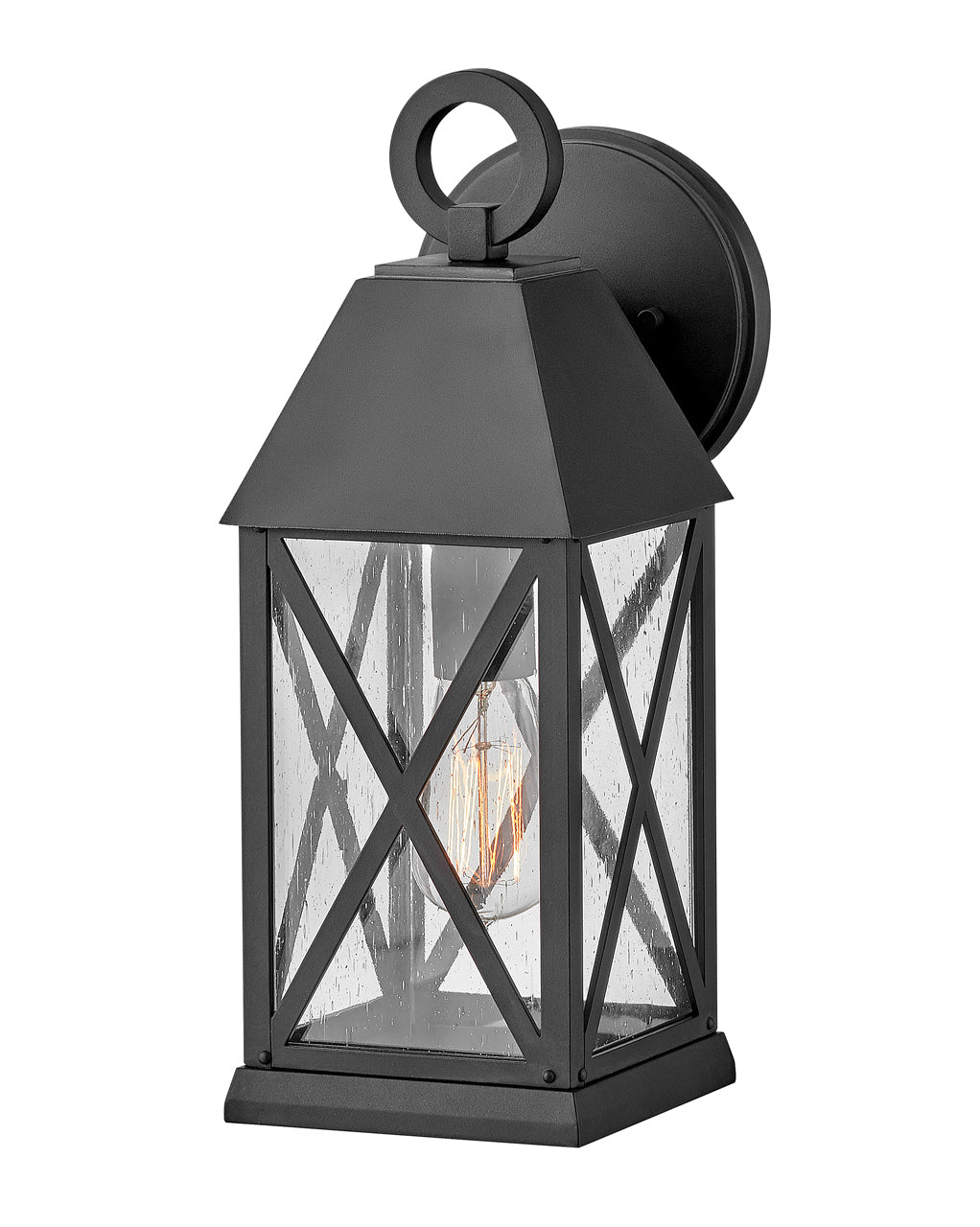 HINKLEY BRIAR OUTDOOR WALL LIGHT - Wall