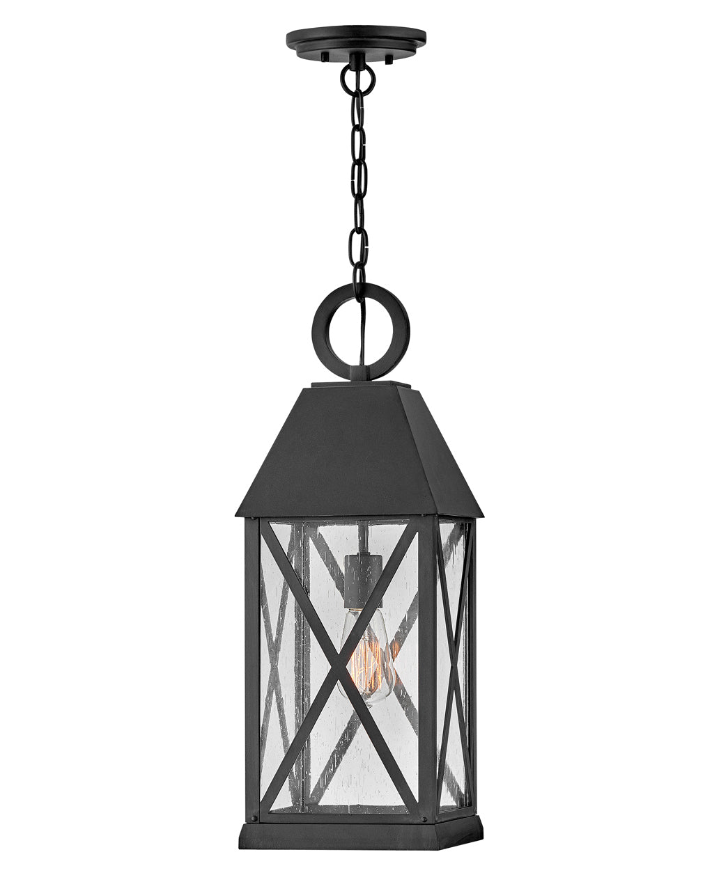 HINKLEY BRIAR OUTDOOR PENDANT - Ceiling