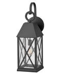 HINKLEY BRIAR OUTDOOR WALL LIGHT - Wall