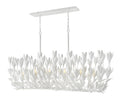 HINKLEY, FLORA LINEAR & OVAL CHANDELIER, PENDANT LIGHT