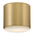 HINKLEY, CEDRIC FLUSH MOUNT, FLUSH MOUNT CEILING LIGHTS