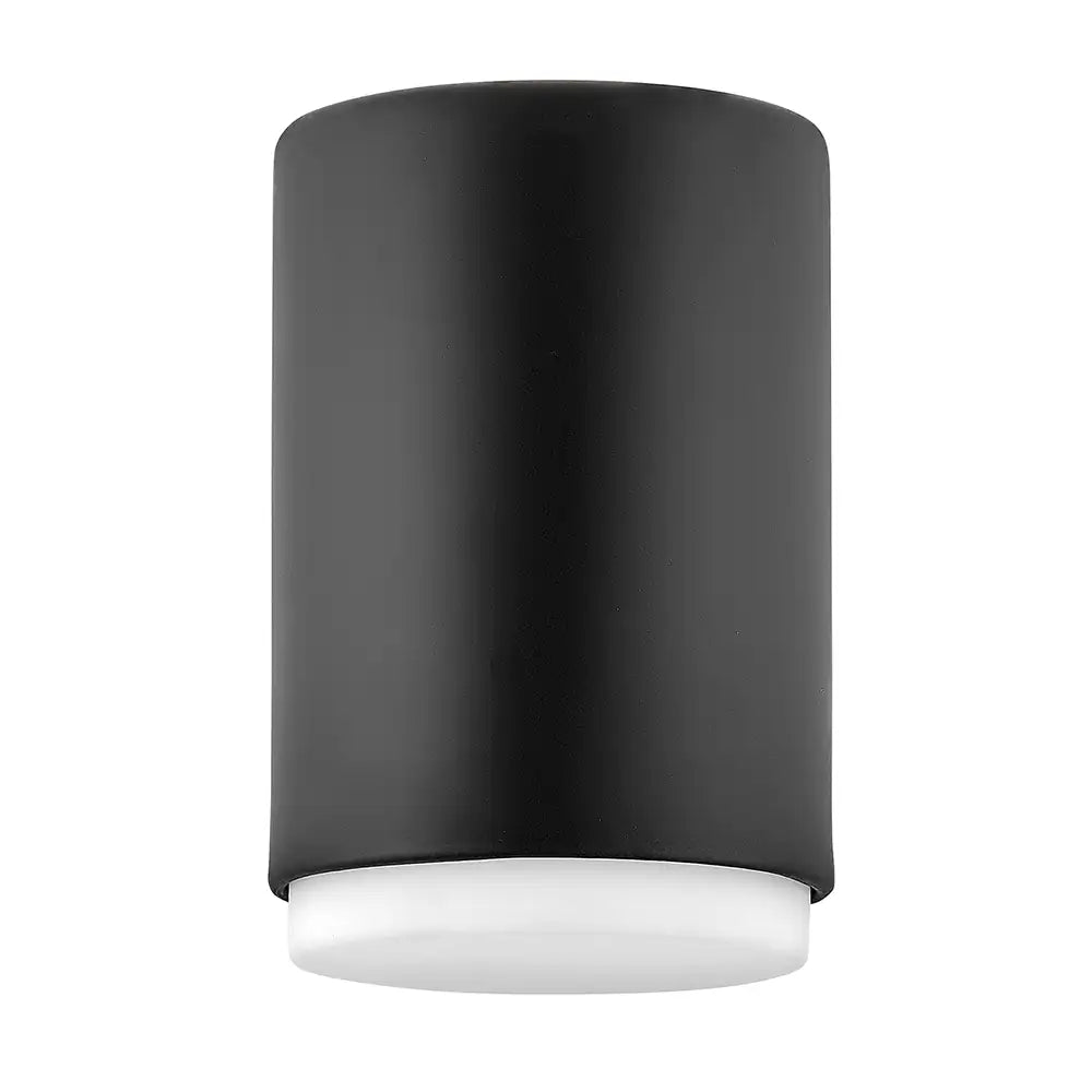 HINKLEY, CEDRIC FLUSH MOUNT, FLUSH MOUNT CEILING LIGHTS
