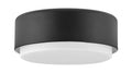 HINKLEY, CEDRIC FLUSH MOUNT, FLUSH MOUNT CEILING LIGHTS