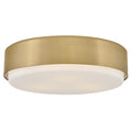 HINKLEY, CEDRIC FLUSH MOUNT, FLUSH MOUNT CEILING LIGHTS
