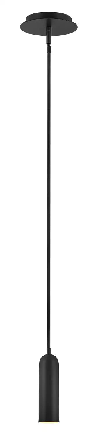HINKLEY, DAX PENDANT CHANDELIER, PENDANT LIGHT