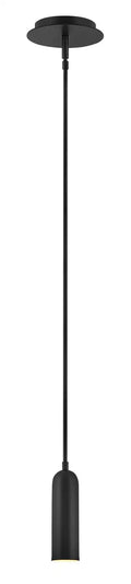 HINKLEY, DAX PENDANT CHANDELIER, PENDANT LIGHT