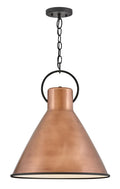 HINKLEY, WINNIE PENDANT CHANDELIER, PENDANT LIGHT