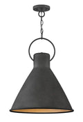 HINKLEY, WINNIE PENDANT CHANDELIER, PENDANT LIGHT