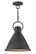 HINKLEY, WINNIE PENDANT CHANDELIER, PENDANT LIGHT