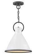 HINKLEY, WINNIE PENDANT CHANDELIER, PENDANT LIGHT