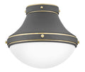 HINKLEY, OLIVER FLUSH MOUNT, FLUSH MOUNT CEILING LIGHTS