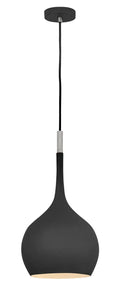 HINKLEY, ZIGGY PENDANT CHANDELIER, PENDANT LIGHT