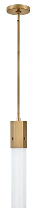 HINKLEY, FACET PENDANT CHANDELIER, PENDANT LIGHT