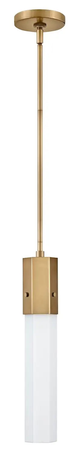 HINKLEY, FACET PENDANT CHANDELIER, CHANDELIER LIGHT