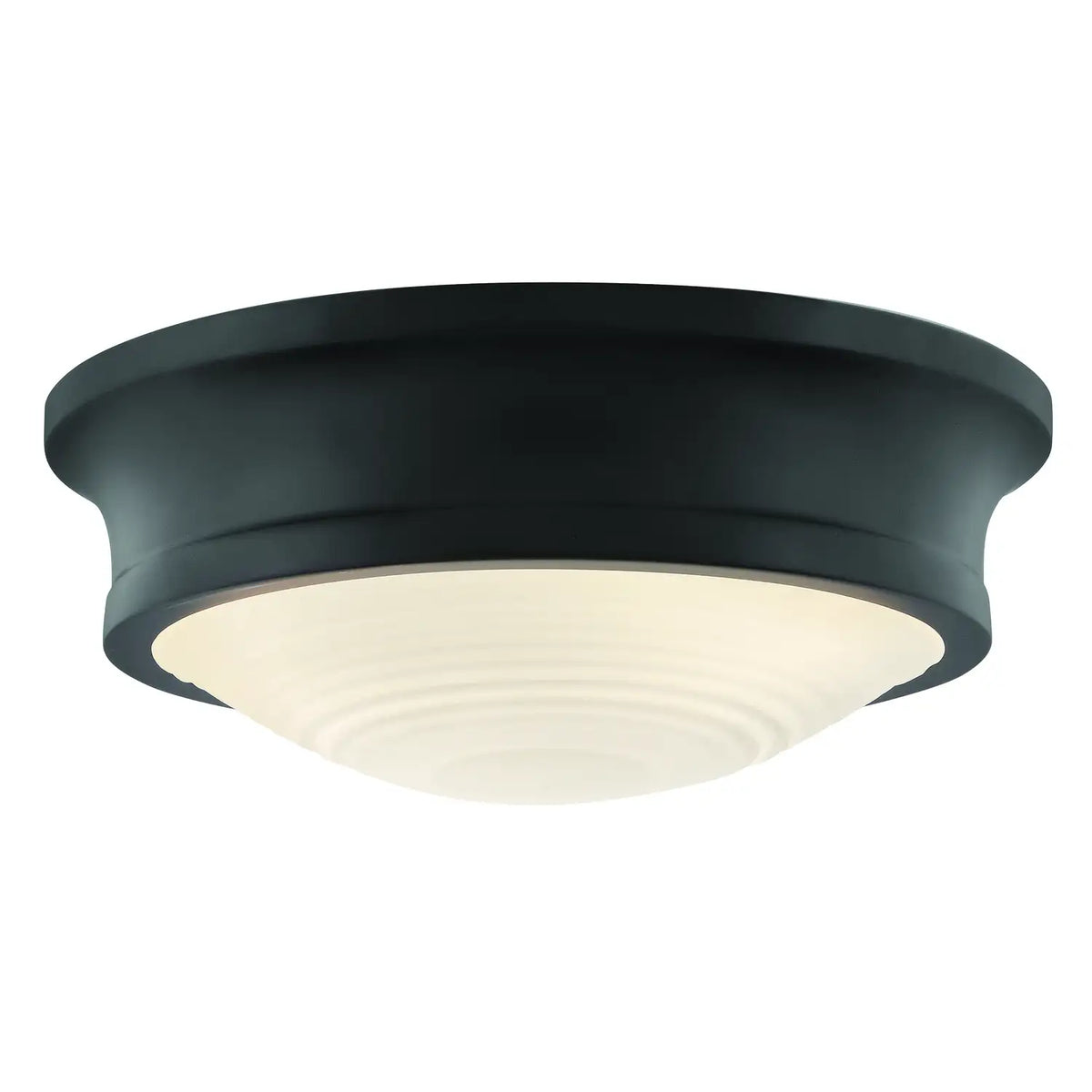 HINKLEY, ELLIS FLUSH MOUNT, FLUSH MOUNT CEILING LIGHTS