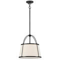 HINKLEY, CLARKE PENDANT CHANDELIER, PENDANT LIGHT