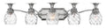 HINKLEY, PLANTATION FIVE LIGHT VANITY, BATH VANITY LIGHT
