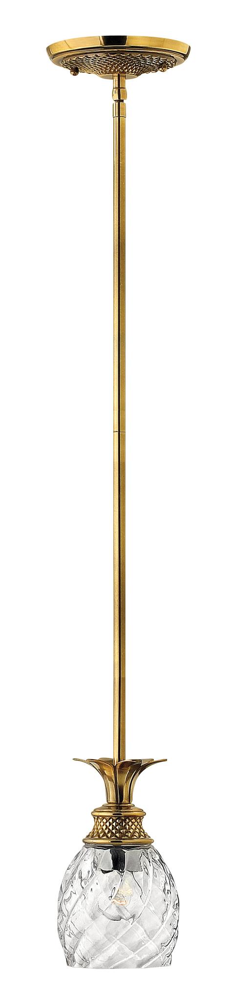 HINKLEY, PLANTATION PENDANT CHANDELIER, PENDANT LIGHT