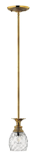 HINKLEY, PLANTATION PENDANT CHANDELIER, PENDANT LIGHT