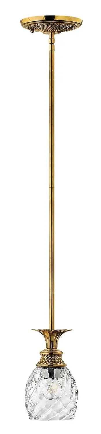 HINKLEY, PLANTATION PENDANT CHANDELIER, PENDANT LIGHT