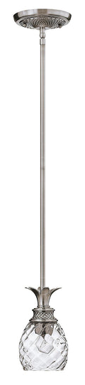 HINKLEY, PLANTATION PENDANT CHANDELIER, PENDANT LIGHT