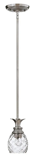 HINKLEY, PLANTATION PENDANT CHANDELIER, PENDANT LIGHT