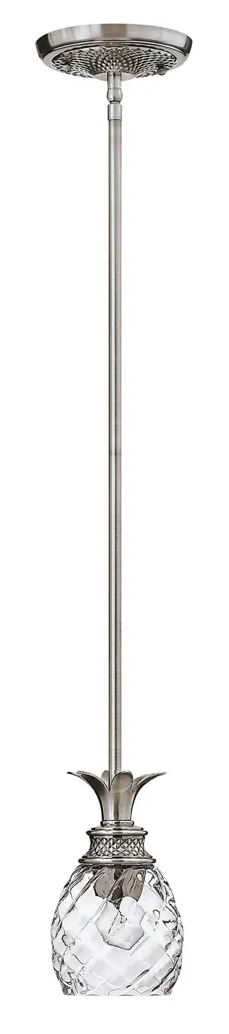 HINKLEY, PLANTATION PENDANT CHANDELIER, PENDANT LIGHT