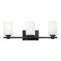 HINKLEY, KARLIE THREE LIGHT VANITY, VANITY LIGHT