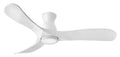 HINKLEY, SWELL FLUSH ILLUMINATED FAN, INDOOR CEILING FANS