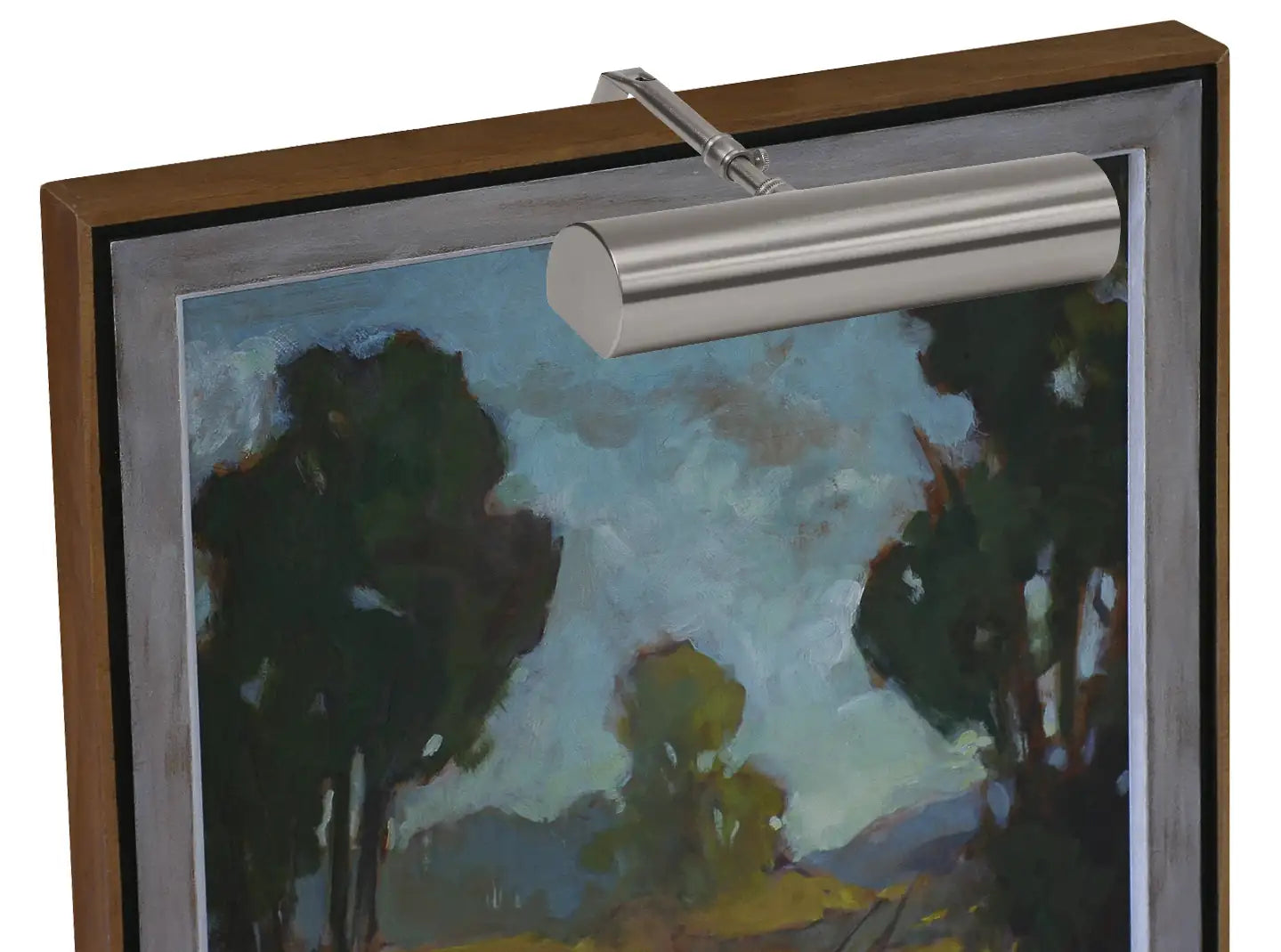 HOUSE OF TROY, CLASSIC CONTEMPORARY PLUG-IN PICTURE LIGHT, PICTURE LIGHTS