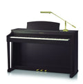 HOUSE OF TROY, PIANO/DESK DESK LAMP, DESK LAMPS