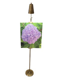 HOUSE OF TROY, RIVER NORTH DESK LAMP, TASK LAMPS