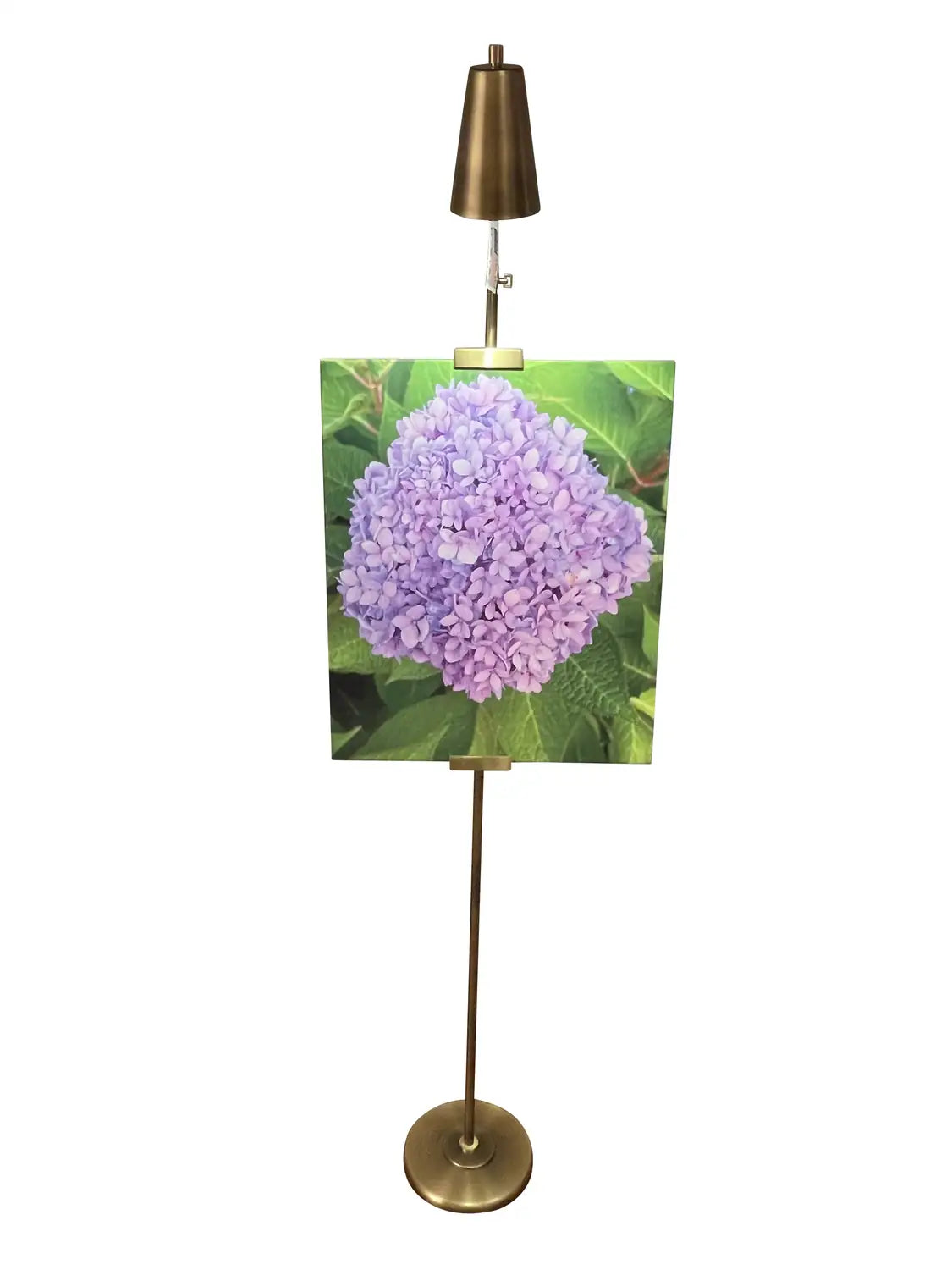HOUSE OF TROY, RIVER NORTH DESK LAMP, TASK LAMPS