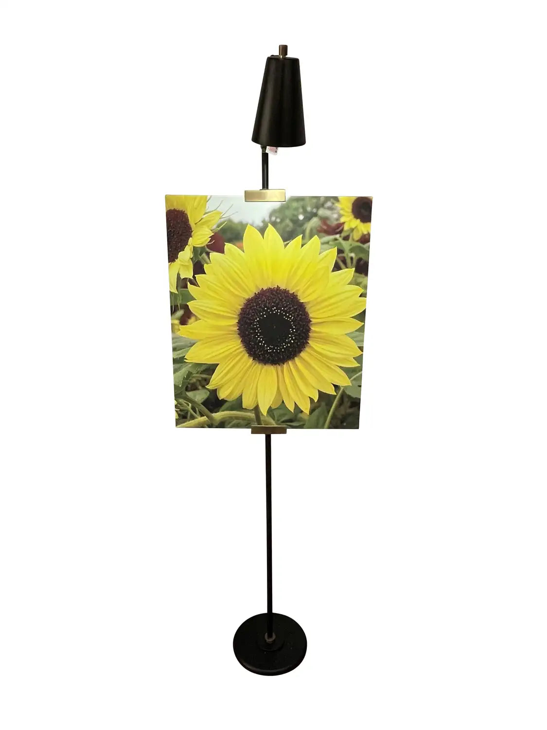 HOUSE OF TROY, RIVER NORTH DESK LAMP, TASK LAMPS