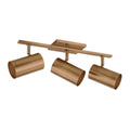 TROY LIGHTING, RUEBEN BATH AND VANITY, VANITY LIGHT