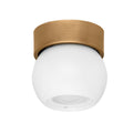 TROY LIGHTING, ODIN FLUSH MOUNT, FLUSH MOUNT CEILING LIGHTS
