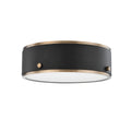 Troy Lighting, ELI FLUSH MOUNT, FLUSH MOUNT CEILING LIGHTS