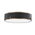 Troy Lighting, ELI FLUSH MOUNT, FLUSH MOUNT CEILING LIGHTS