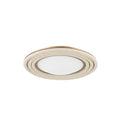 Troy Lighting, ZION FLUSH MOUNT, FLUSH MOUNT CEILING LIGHTS