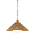 Troy Lighting, WOODSIDE PENDANT, PENDANT LIGHT