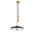 TROY LIGHTING, PLUMMET PENDANT, PENDANT LIGHT